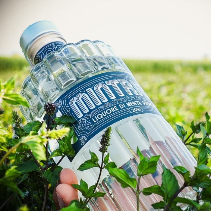 mintriga nella menta.jpg